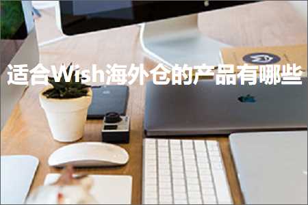 璺ㄥ鐢靛晢鐭ヨ瘑:閫傚悎Wish娴峰浠撶殑浜у搧鏈夊摢浜? width=